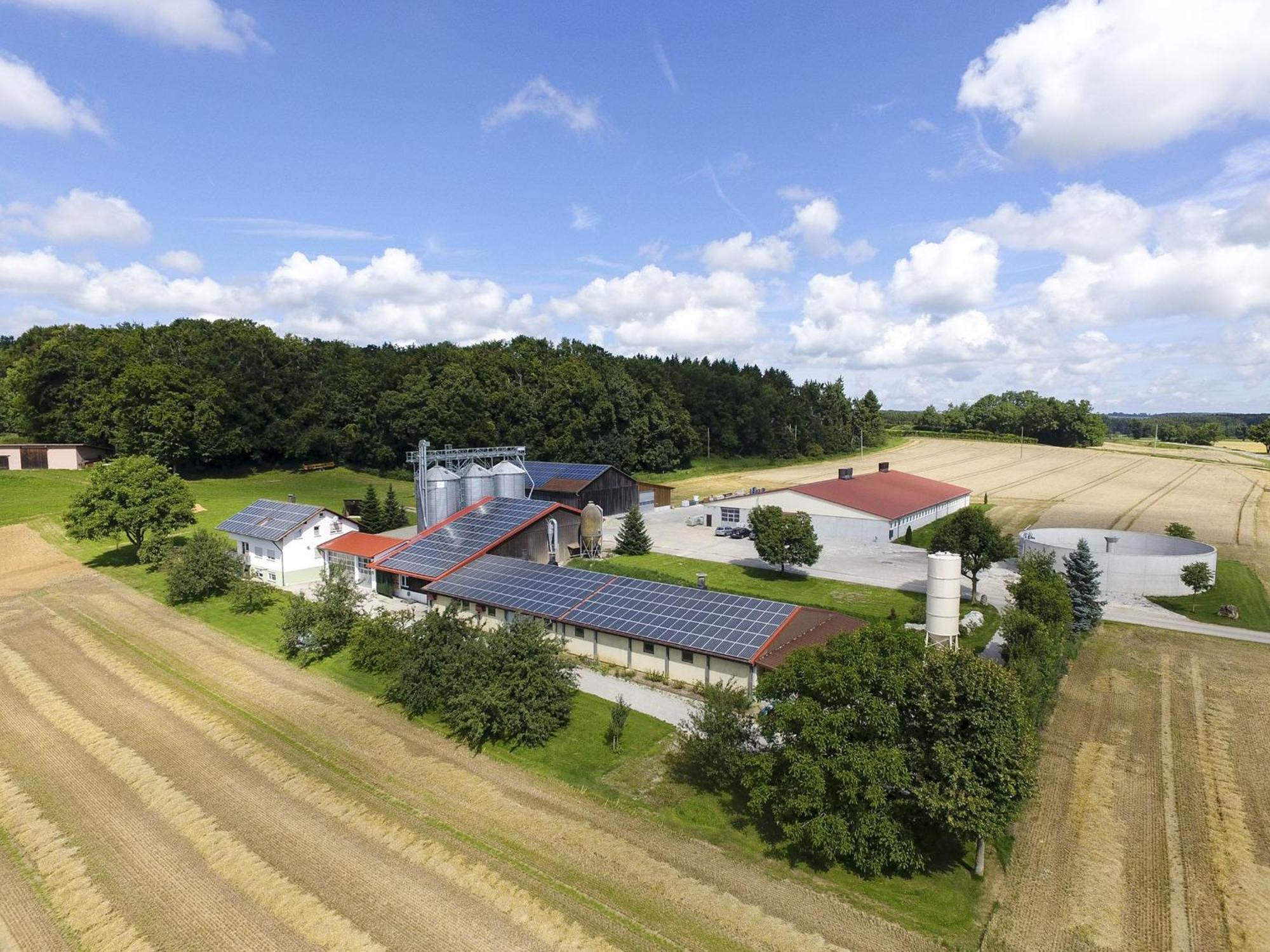 Hof Am Horn - Fewos In Der Natur Laichingen Exterior photo
