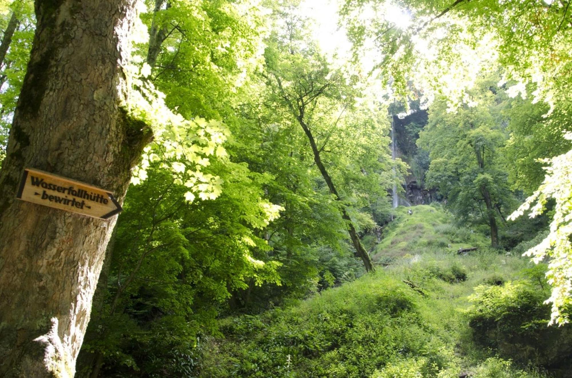 Hof Am Horn - Fewos In Der Natur Laichingen Exterior photo